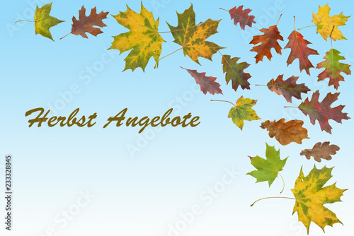 Herbst Collage mit Herbstblätter