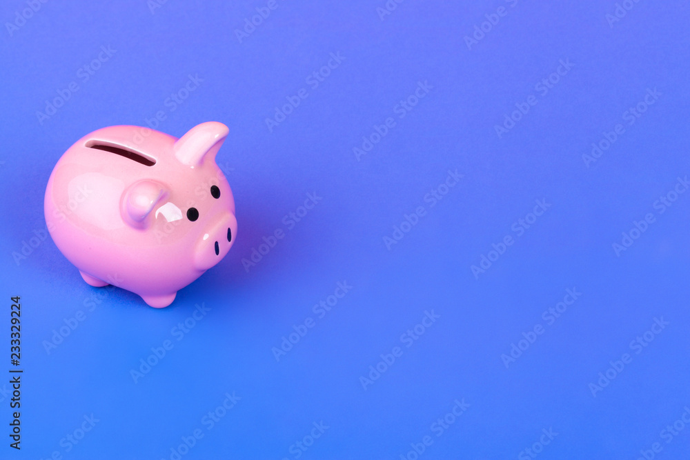 Pinik piggy bank on bright colored background