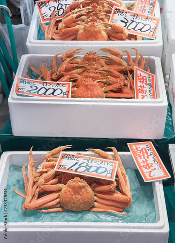 Kanazawa, Japan - June 3, 2017 : Fresh crab selling at Ohmicho Ichiba Fish Market in Kanazawa, Japan. It is the biggest fish market in Kanazawa. It selling all manner of freshly caught seafood. photo