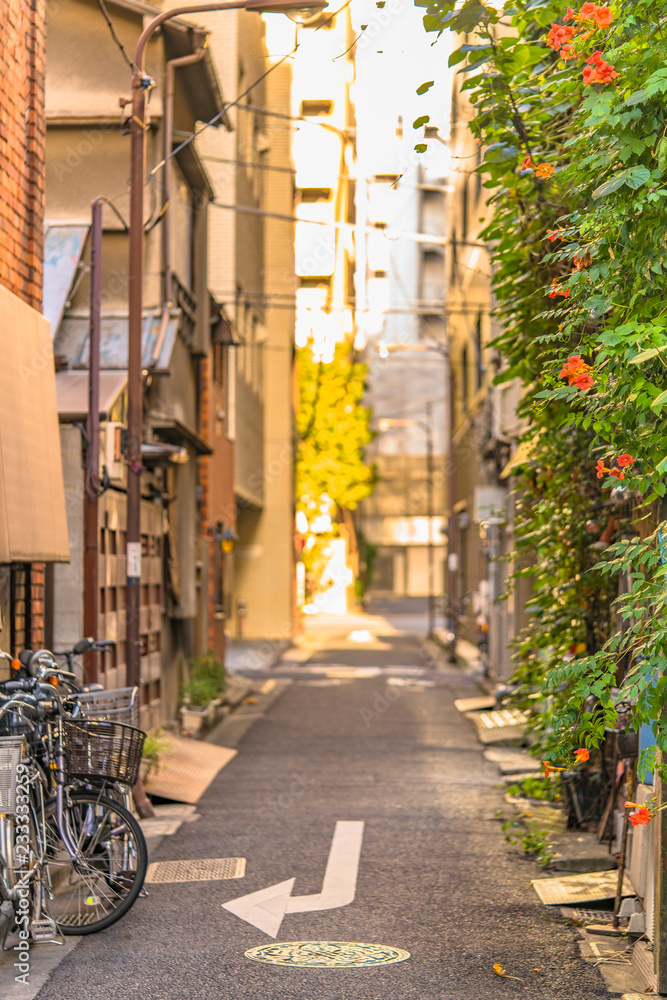 Fototapeta Ściany pokryte liśćmi i kwiatami Bignoniaceae trąbki rogu w małej uliczce przylegającej do stacji Kanda na linii Yamanote. Ulica rozciąga się na ponad 300 metrów i ma 100 sklepów.