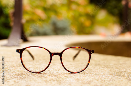 Rounded eyeglasses on autumn background