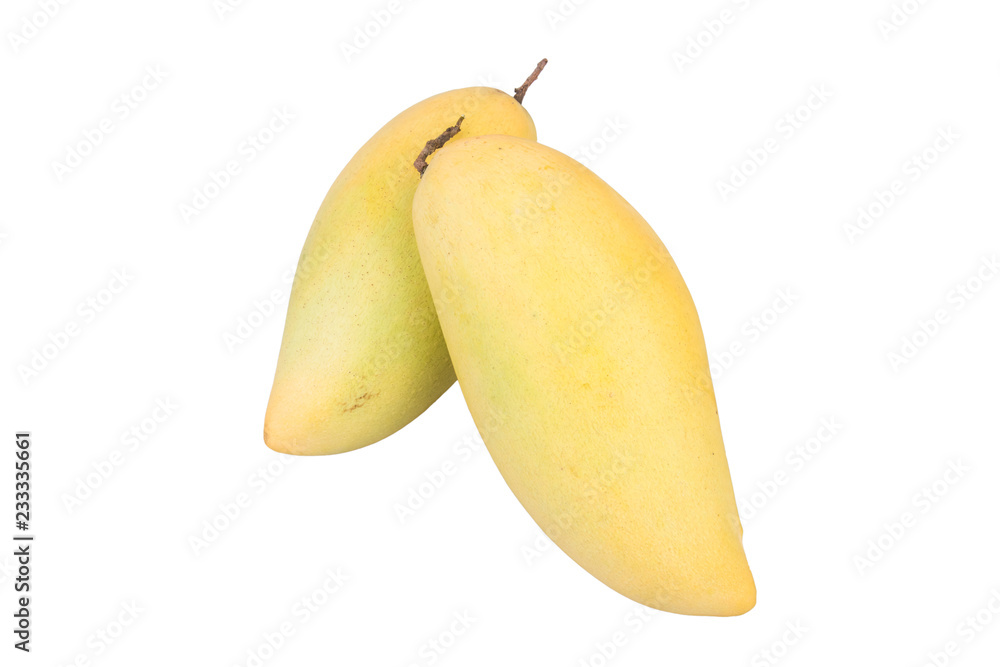 Delicious ripe mango fruit , mango on white background. Delicious ripe mango fruit , mango on white background.