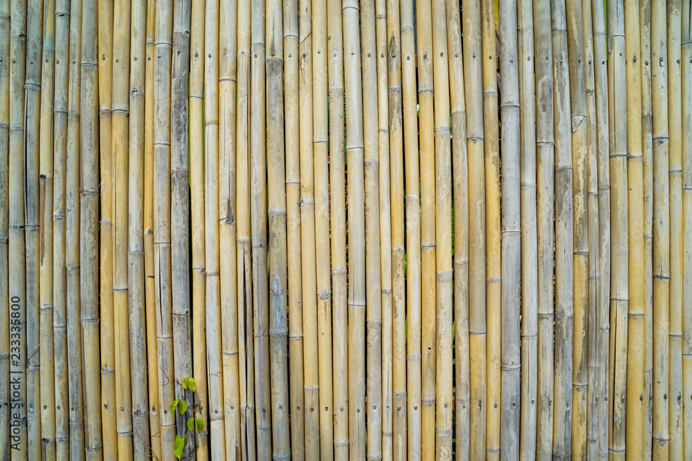 bamboo fence background bamboo fence background