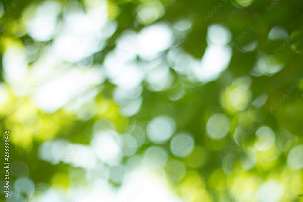 Green gradient blurred abstract background Green gradient blurred abstract background