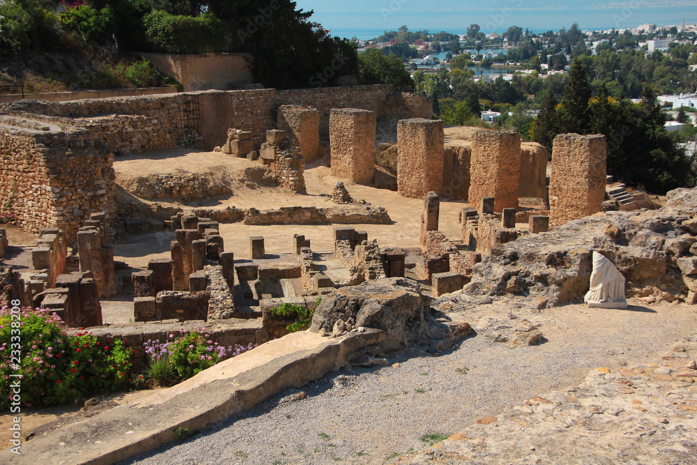 Ruins of ancient Carthage in Tunisia