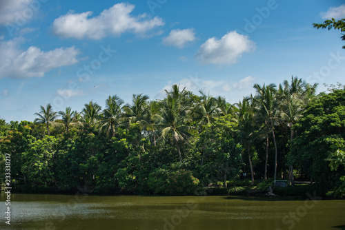 Landscape with the river and green vegetation of trees and plants . © fototrips