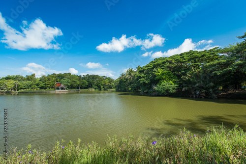 Landscape with the river and green vegetation of trees and plants .