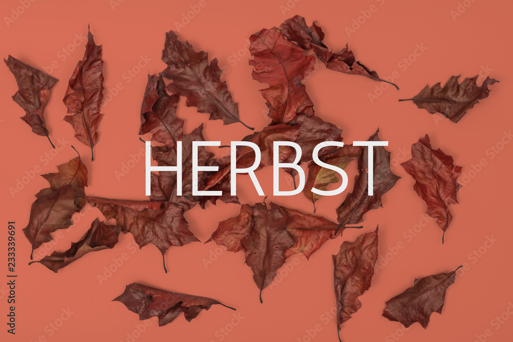 Φωτογραφία getrocknete Schöne Ahorn Herbst Blätter für Homepage Banner Produkt Präsentation