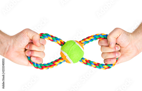 Hand holding Dog toy - pet accessories for games, isolated on white background with copy space
