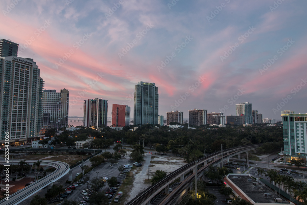 Fototapeta premium miami skyline