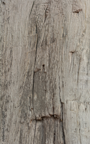 Old Wooden Texture.