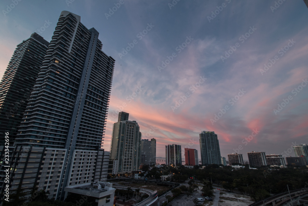 Fototapeta premium miami skyline