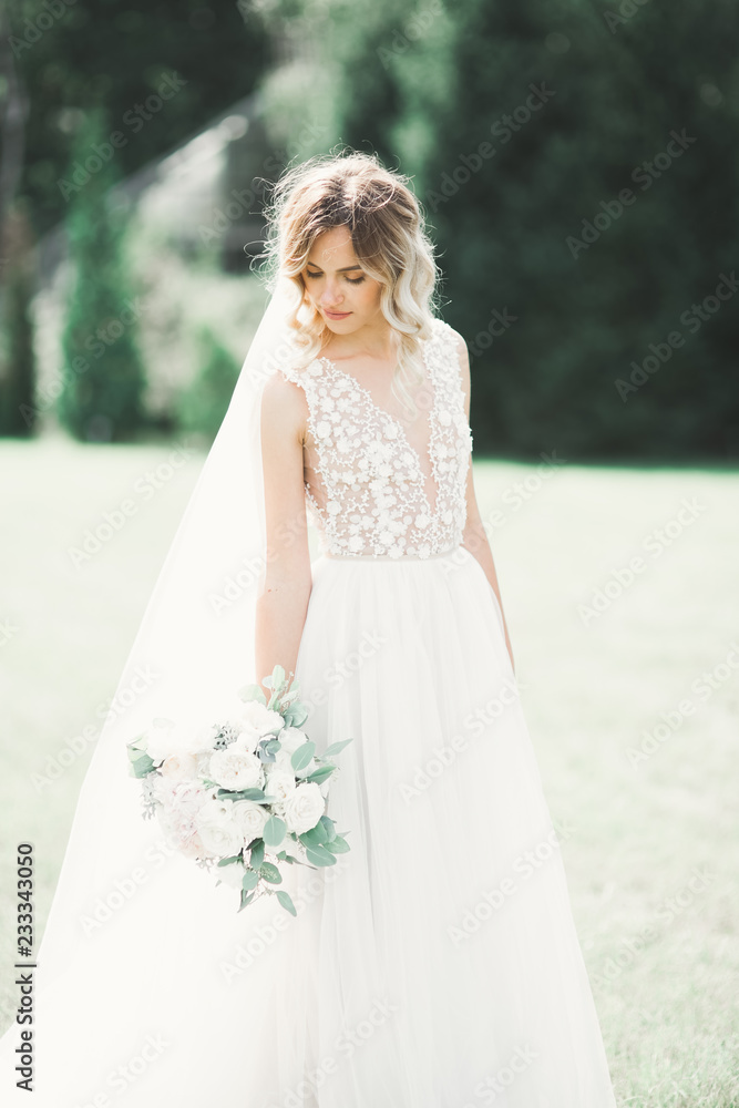Beautiful luxury bride in elegant white dress Beautiful luxury bride in elegant white dress