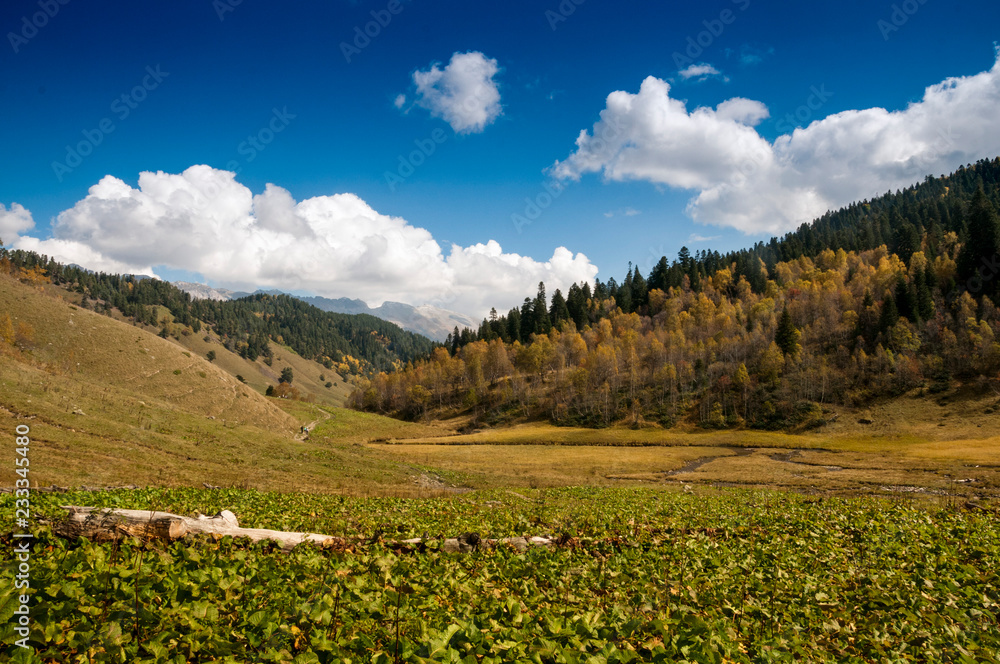 Russia, Arkhyz. Atsgara river valley in autumn in Sunny day Russia, Arkhyz. Atsgara river valley in autumn in Sunny day