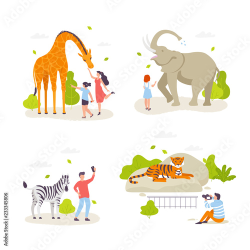 People in the zoo looking at animals and acting with them. Cute wild animals, cheerful people, children cartoon characters flat design. Giraffe, elephant, zebra, tiger isolated. Infographic elements.