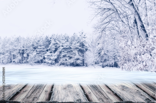Background winter forest trees with snow und empty wooden board. Winter Christmas concept.   © MTaitas