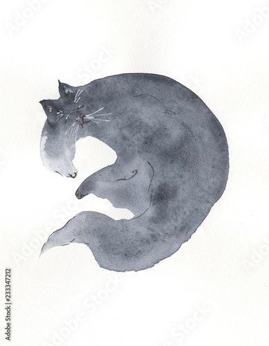 sleeping grey cat painting in watercolor on white backgound