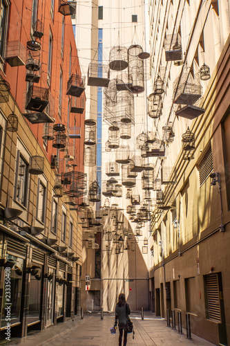 Tablou pe pânză Birdcage alleyway