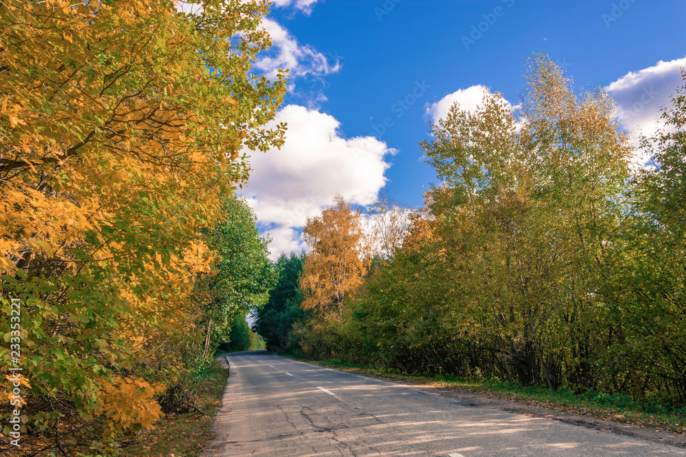 Asphalt road among the yellow trees in autumn sunny day.