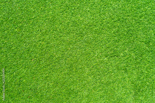 Green Grass In the Garden As Background