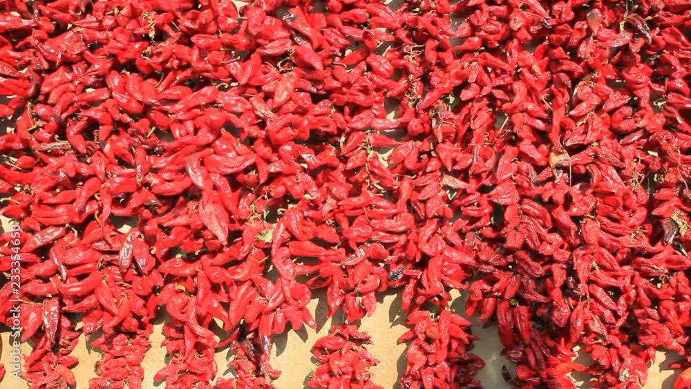 Village of Lokoshnitsa, Serbia. The village grows best peppers drying. In the autumn the whole village is adorned with garlands of peppers. Village of Lokoshnitsa, Serbia. The village grows best peppers drying. In the autumn the whole village is adorned with garlands of peppers.
