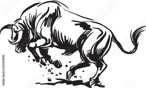 black and white angry bull