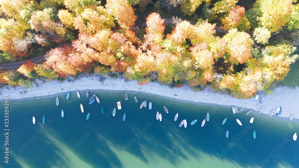 Aerial View. Golden Autumn flight over boats and yellow tree