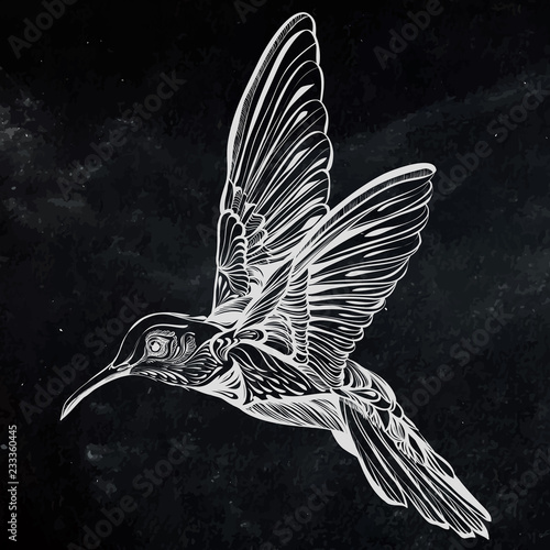 Hummingbird in flight.Detailed drawing of a bird.handmade.Vector illustration isolated on  black background