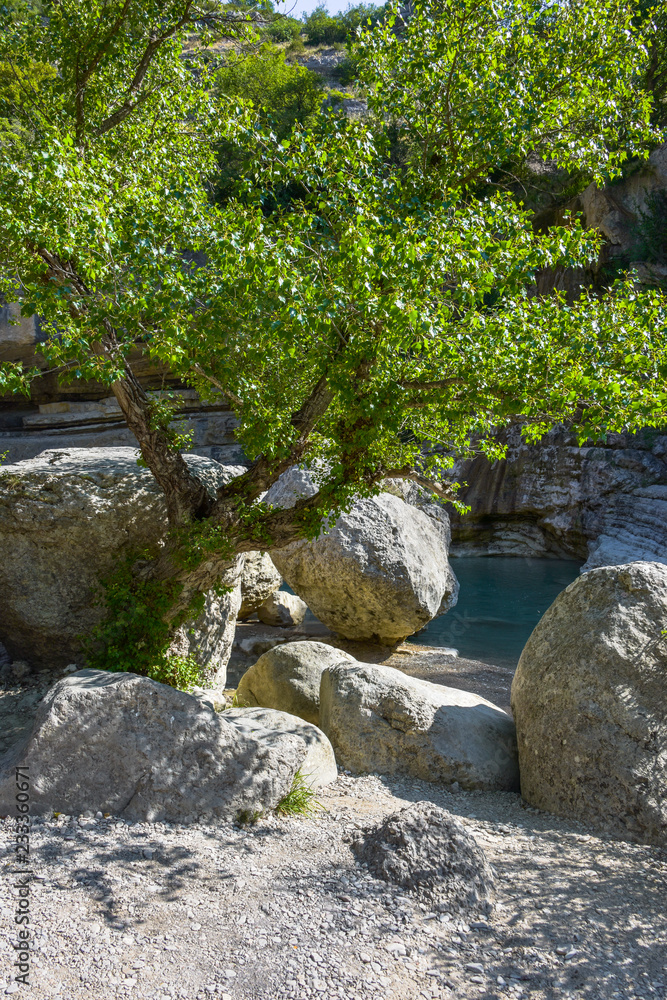 idyl with tree and rock at the riverside, Gorges de la Méouge, Provence, France idyl with tree and rock at the riverside, Gorges de la Méouge, Provence, France