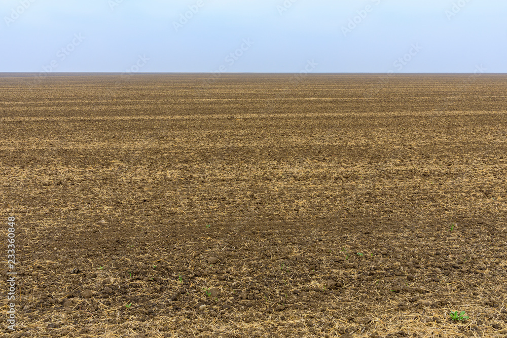 Agriculture field ready for sowing seed Agriculture field ready for sowing seed