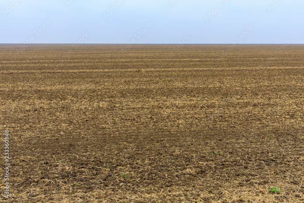 Agriculture field ready for sowing seed