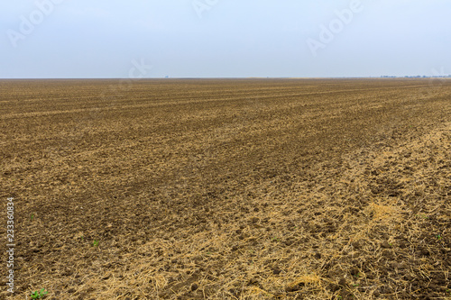 Agriculture field ready for sowing seed