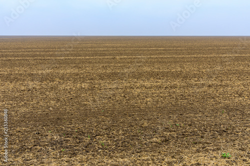Agriculture field ready for sowing seed