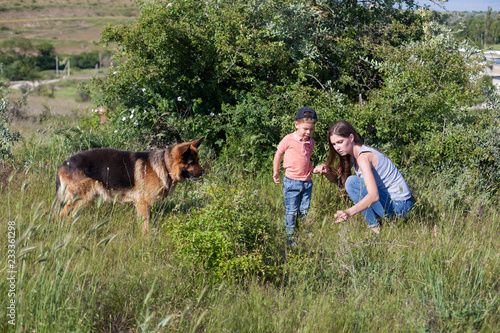 Photography Portrait of a mother with a young son and dog in the forest