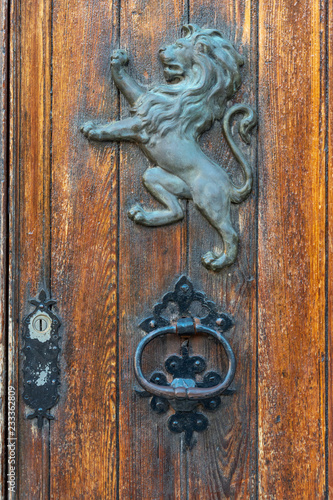 The lion on the ancient door - detail