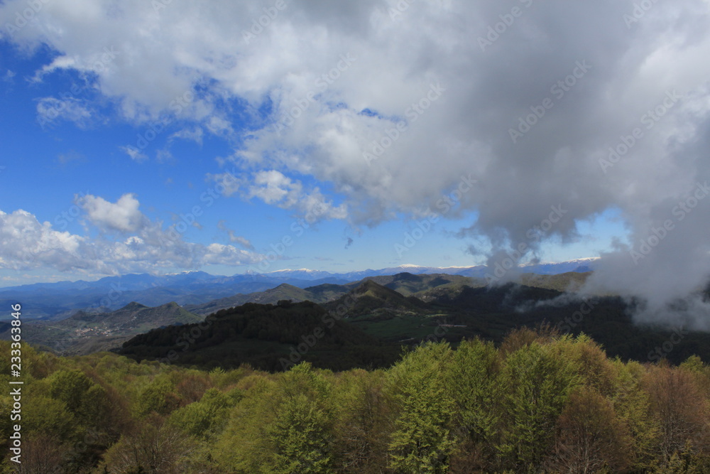 Fototapeta premium nubes grises