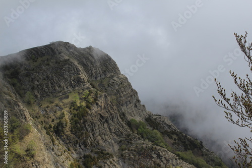 montaña con niebla