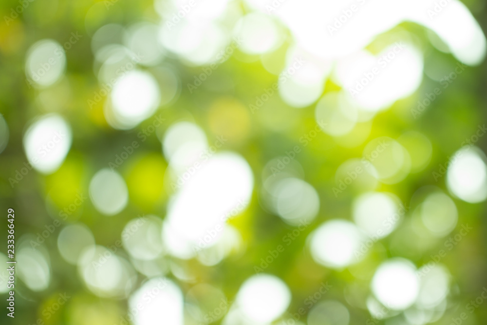 Green gradient blurred abstract background Green gradient blurred abstract background