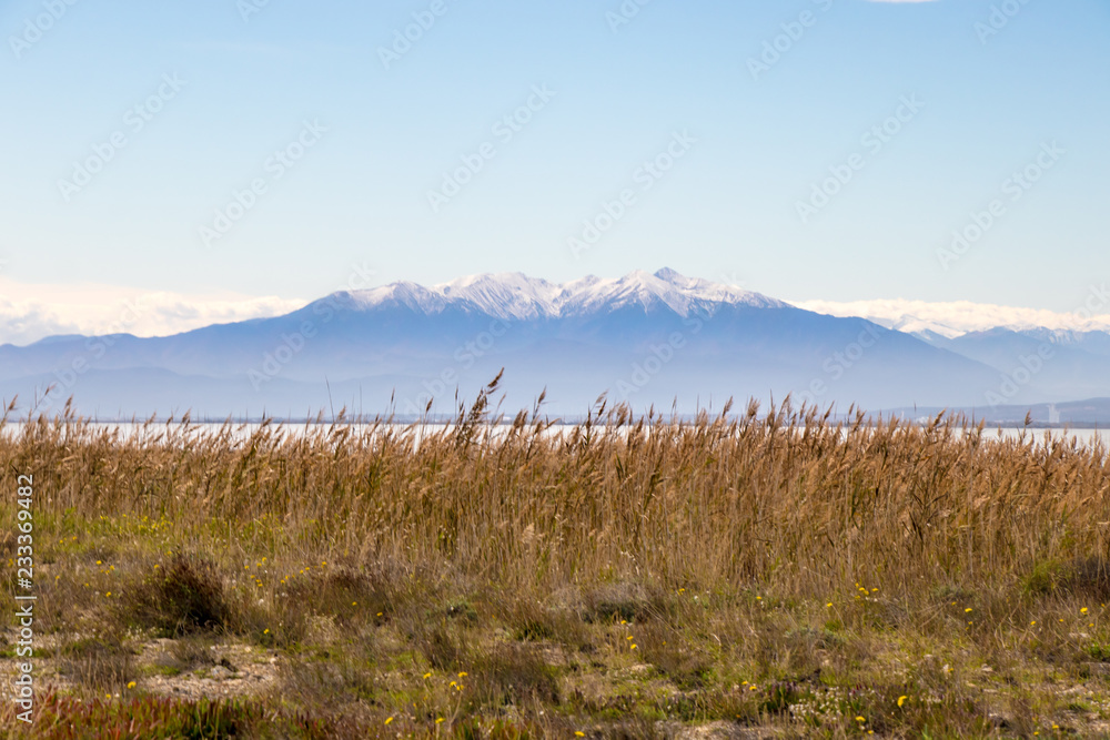 Le massif du Canigou depuis l'étang de Leucate