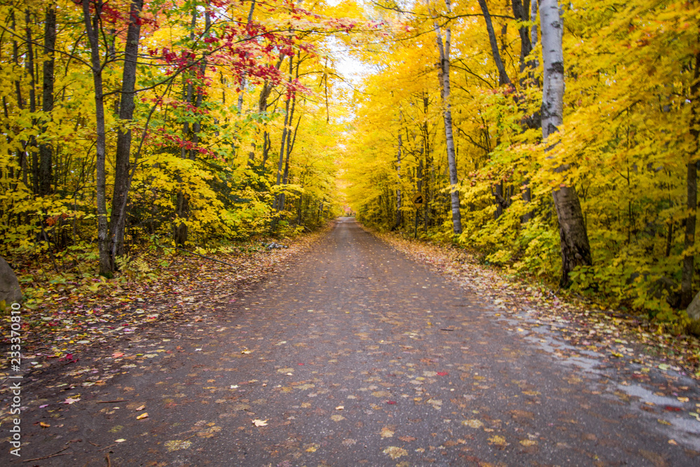 Autumn Road Trip. Rural dirt road through an autumn forest with vibrant fall foliage in the Hiawatha National Forest in the Upper Peninsula of Michigan.