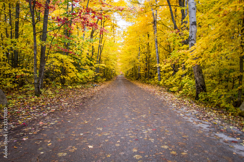 Autumn Road Trip. Rural dirt road through an autumn forest with vibrant fall foliage in the Hiawatha National Forest in the Upper Peninsula of Michigan. photo