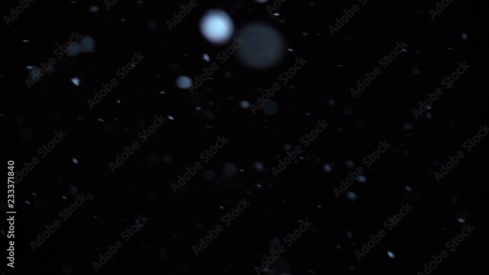 Snow flickers, is turned on wind. Large snowflakes against the background of the black sky. Snow flickers, is turned on wind. Large snowflakes against the background of the black sky.