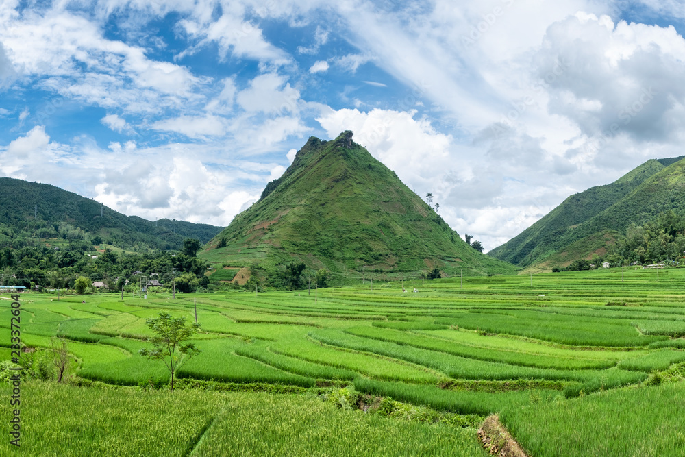 Green mountain with rice field terraces