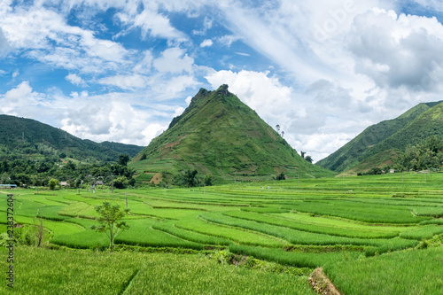 Green mountain with rice field terraces