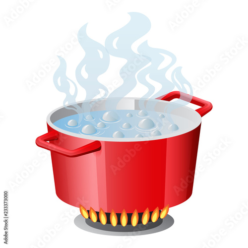 Red pan, saucepan, pot, casserole, cooker, stewpan with boiling water and opened pan lid on gas stove, fire and steam, vector illustration isolated on white
