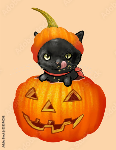 Illustration of a black cat in pumpkin icon vector for Halloween