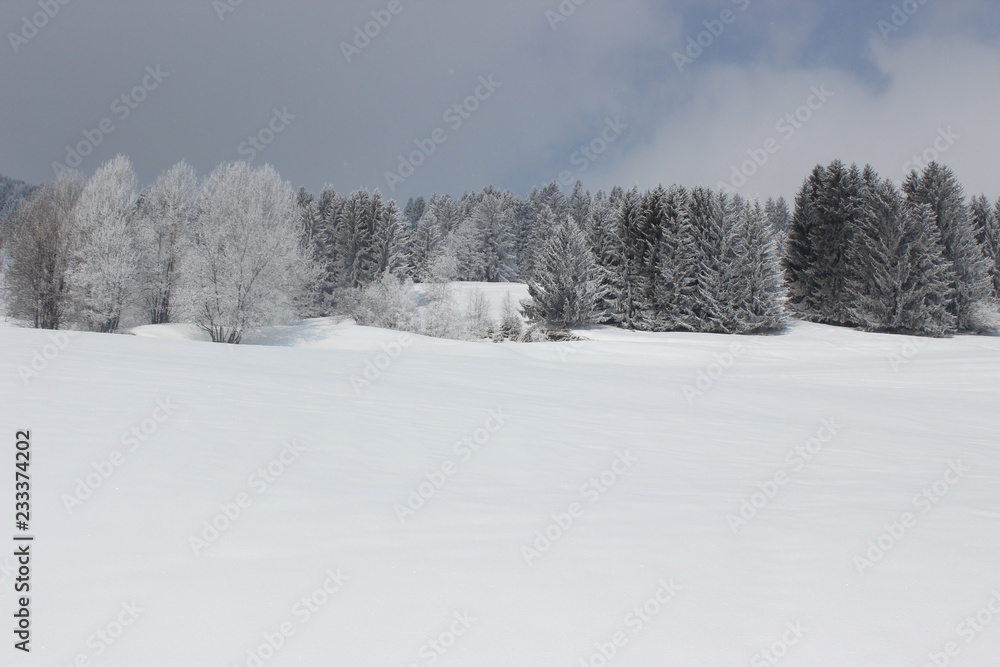 paysage enneigné