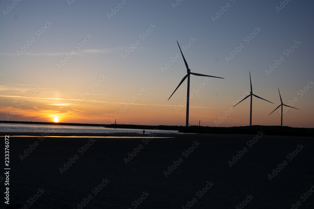Obraz premium Windrad im Sonnenuntergang