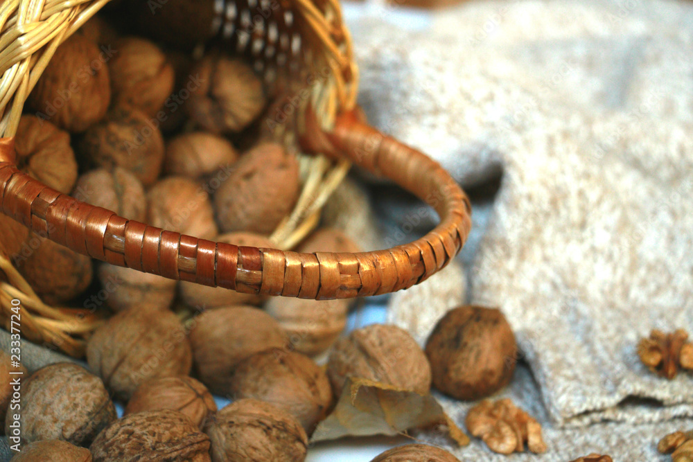 Obraz premium nuts isolated on the floor