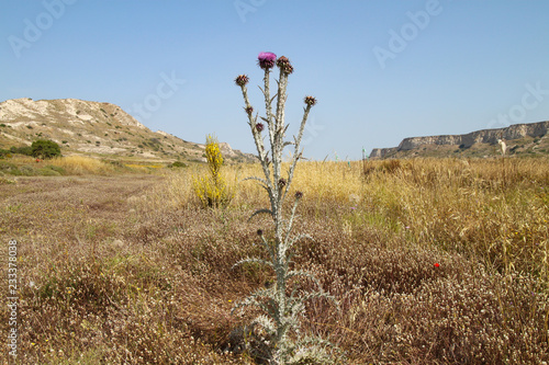 Insel Kos, Kardamaina, Landschaft  photo